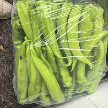 产地直发精品黄尖椒又大又直