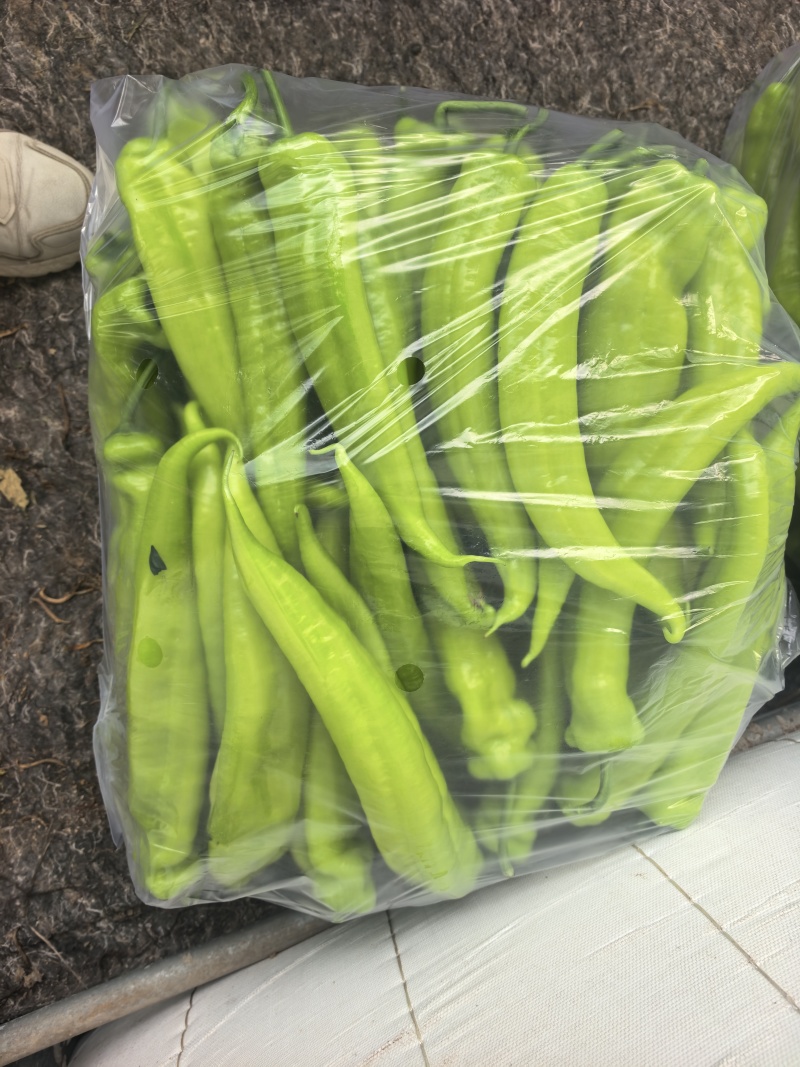 产地直发精品黄尖椒又大又直