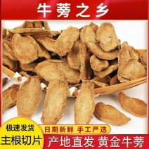 牛蒡根正宗黄金牛蒡茶苍山牛蒡新鲜大片批发中药材正品