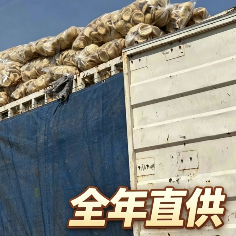 安阳脆豆腐厂家直销一手货源批发火锅麻辣烫商用豆制品