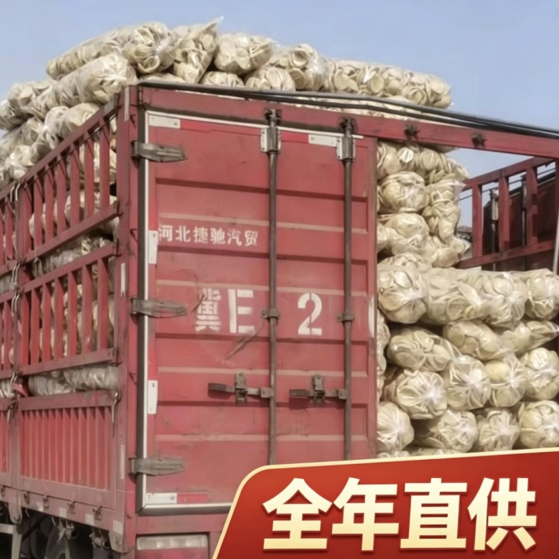 安阳脆豆腐厂家直销一手货源批发火锅麻辣烫商用豆制品