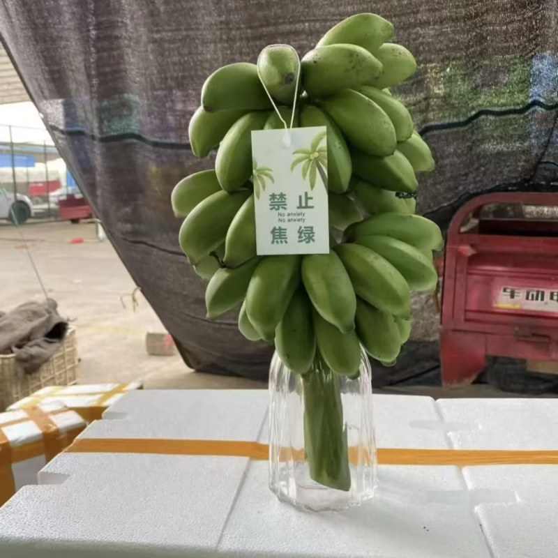 广西小米蕉串蕉一件代发。