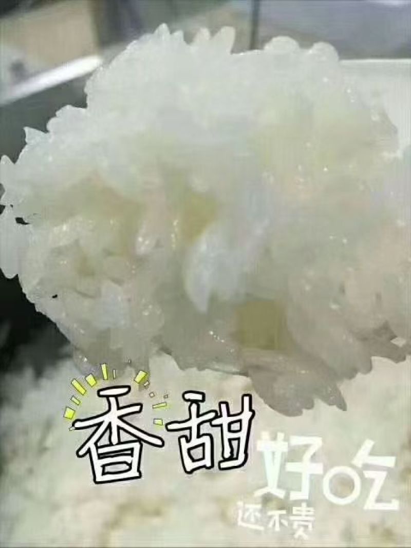 精品五常大米货源充足量大从优质量保证诚信经营欢迎咨询