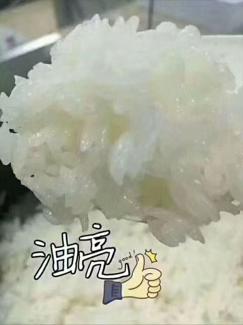 精品五常大米货源充足量大从优质量保证诚信经营欢迎咨询