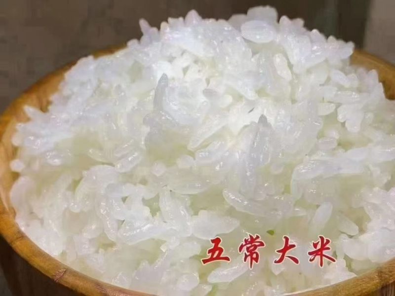 精品五常大米货源充足量大从优质量保证诚信经营欢迎咨询