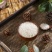 【精品】大米黑龙江五常大米货源充足量大从优质量保证