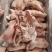 猪头肉