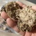 玉米秸秆压块，燃料颗粒热值4000，草球过筛除尘去土