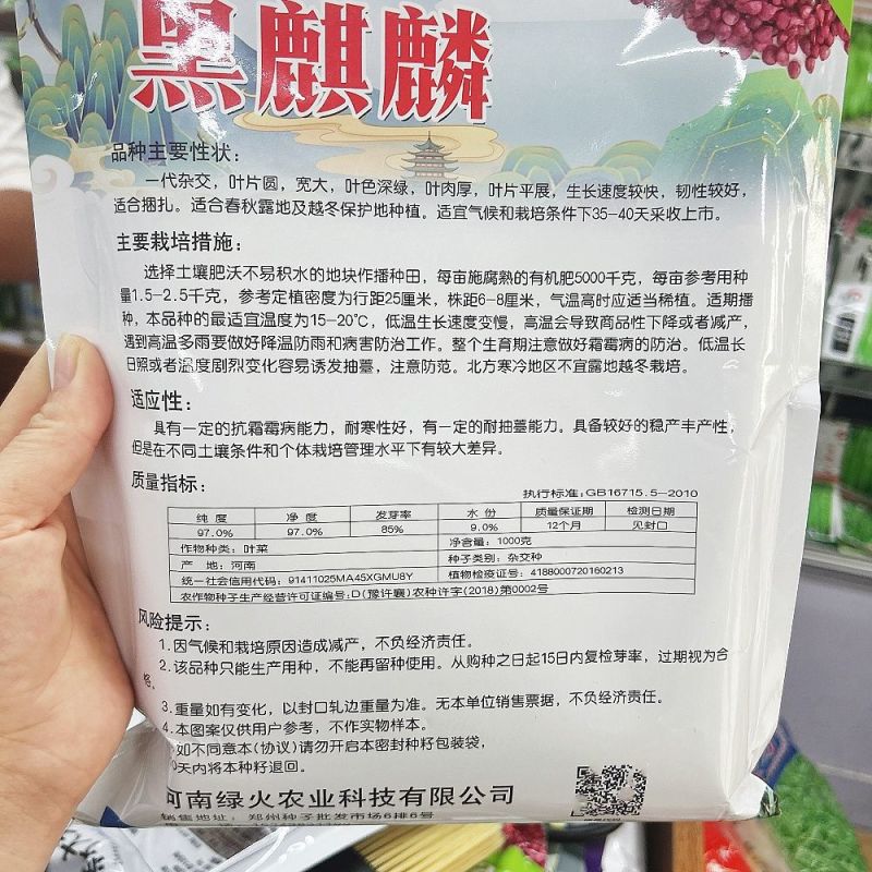 黑麒麟菠菜种子2斤原装春秋墨绿菠菜种籽适合捆扎肥厚大圆叶