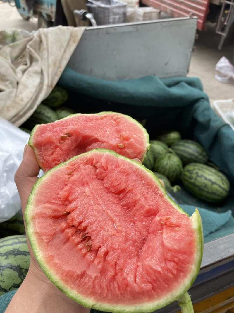 砀山早春红玉西瓜全美2k手撕西瓜承接商超电商供货代发
