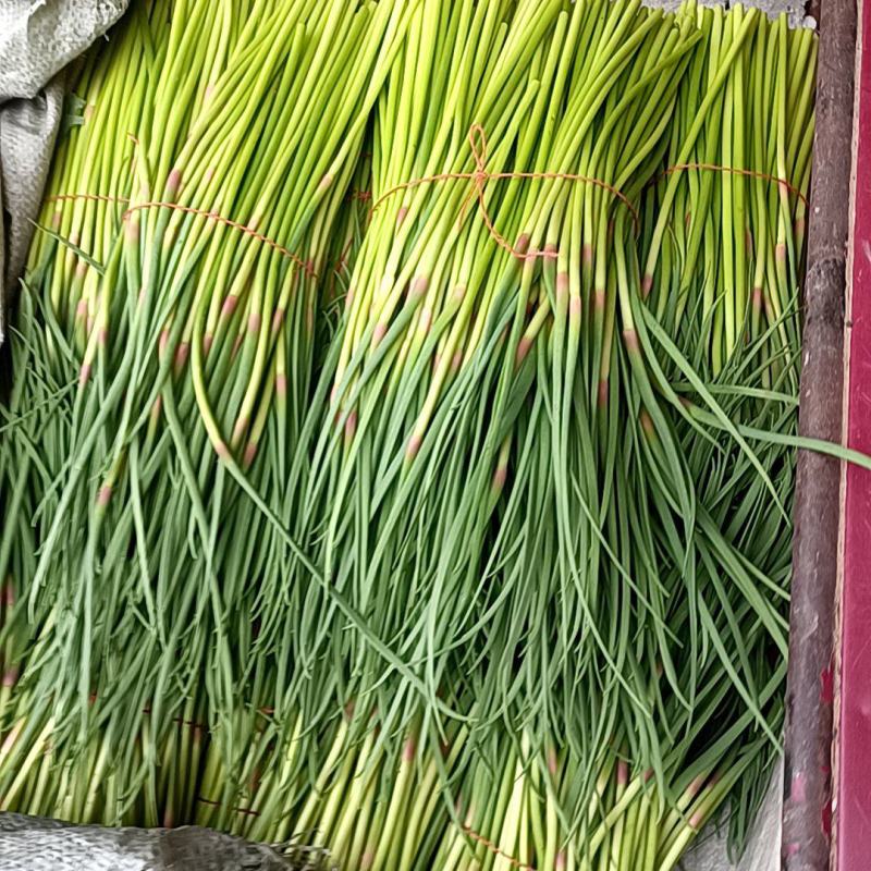 蒜薹