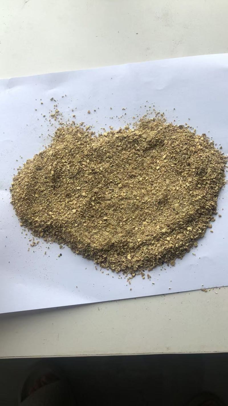 超临界萃取后的当归渣气味浓浓郁，欢迎随时来电咨询