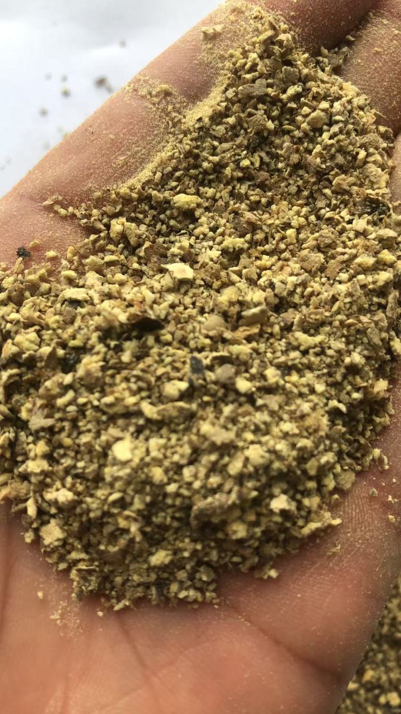 超临界萃取后的当归渣气味浓浓郁，欢迎随时来电咨询