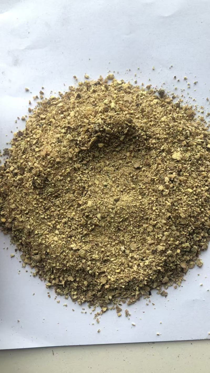 超临界萃取后的当归渣气味浓浓郁，欢迎随时来电咨询