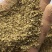 超临界萃取后的当归渣气味浓浓郁，欢迎随时来电咨询