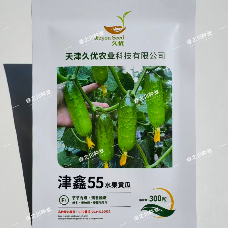 津鑫55水果黄瓜种子绿肉强雌口感型水果黄瓜种籽节节有瓜