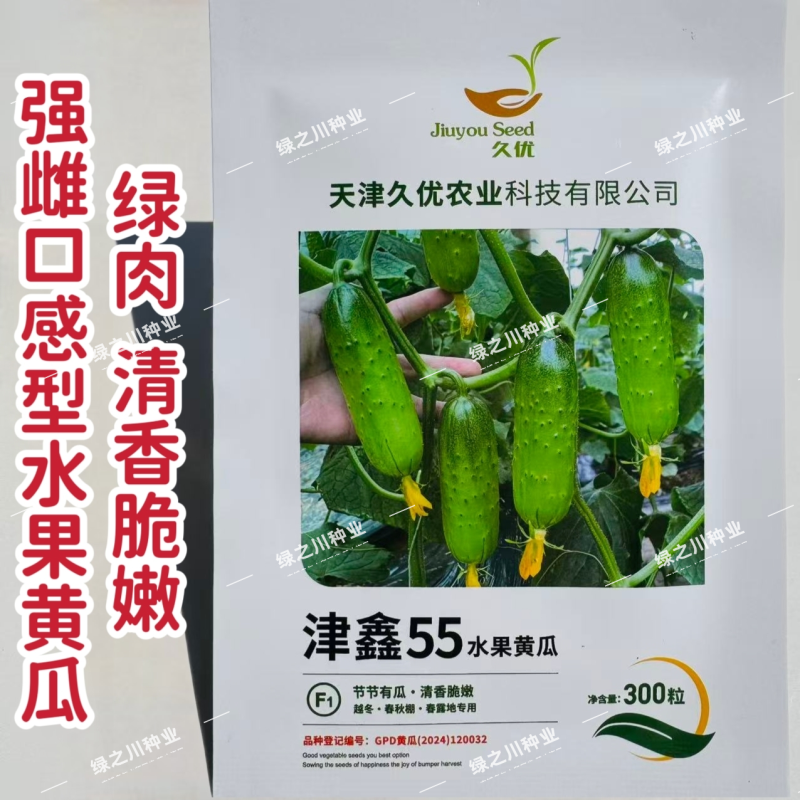 津鑫55水果黄瓜种子绿肉强雌口感型水果黄瓜种籽节节有瓜