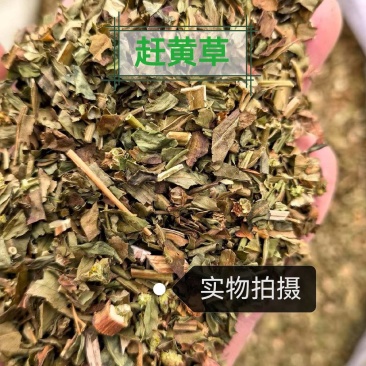 赶黄草正品赶黄草中药材全株切断天然正品无硫
