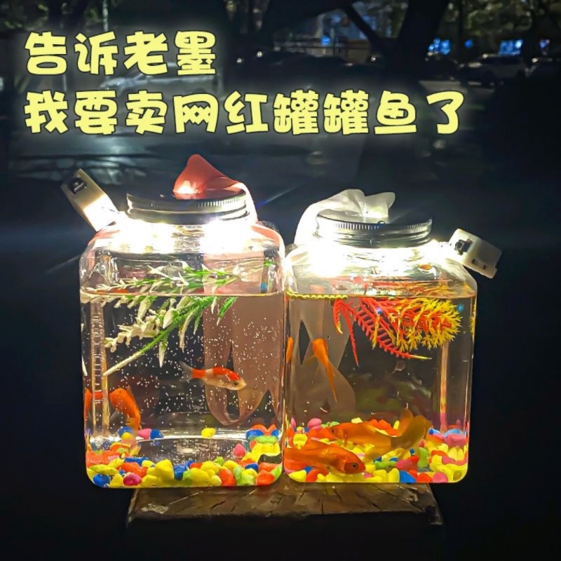 网红发光罐罐鱼儿童闪光小鱼罐公园夜市摆地摊热卖玩具批发