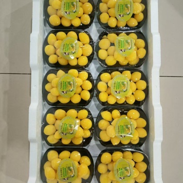 果脯蜜饯