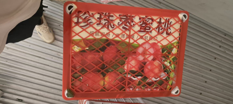 云南高山枣蜜桃