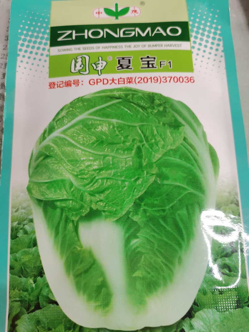 夏宝吉夏南韩绿冠抗热白菜种子抗病品质好耐热品种