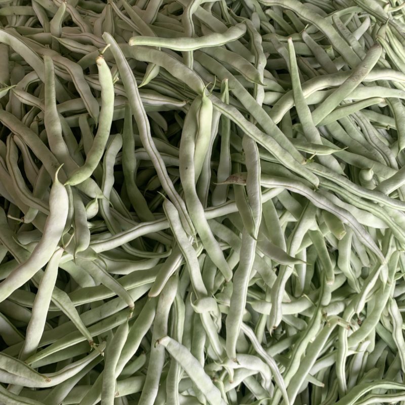 白豆直供商超电商！大量上市中！万亩种植基地！