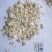 脱水白洋葱粒（粉）黄洋葱粒甘肃30年诚信工厂直发