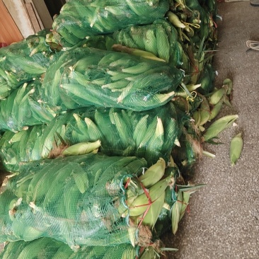 阳春市燕子农产品批发