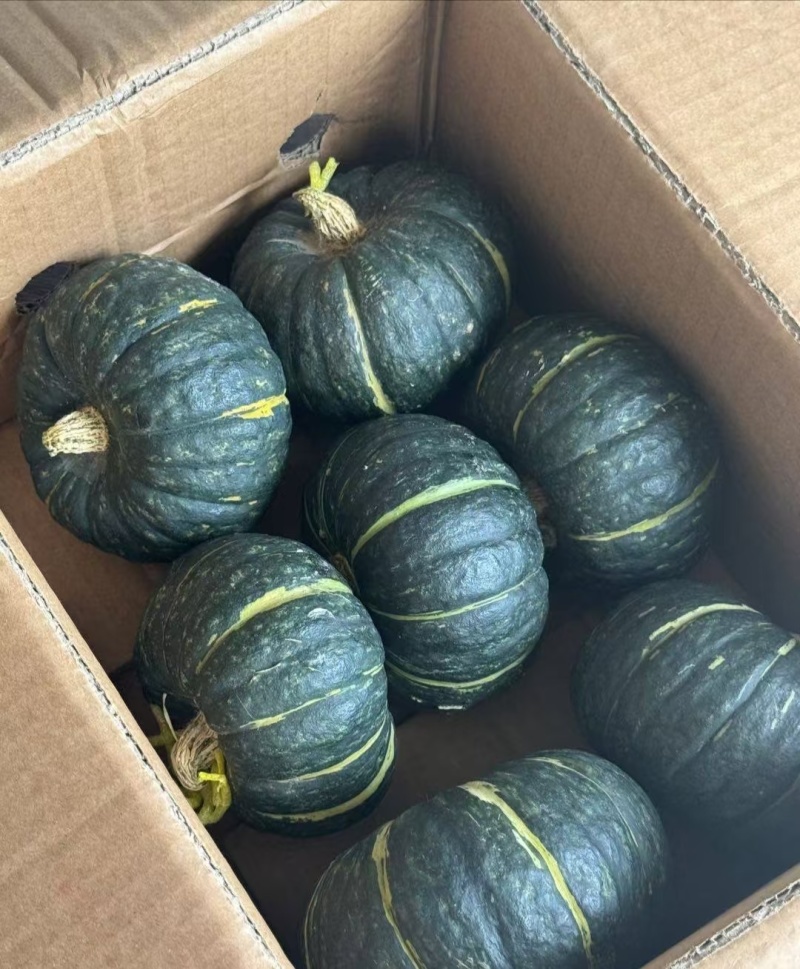 贝贝南瓜精品包甜包粉货源充足品质稳定整车发货可对接各平台
