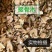 接骨木中药材正品接骨木手工精选无杂质无硫自然晾晒