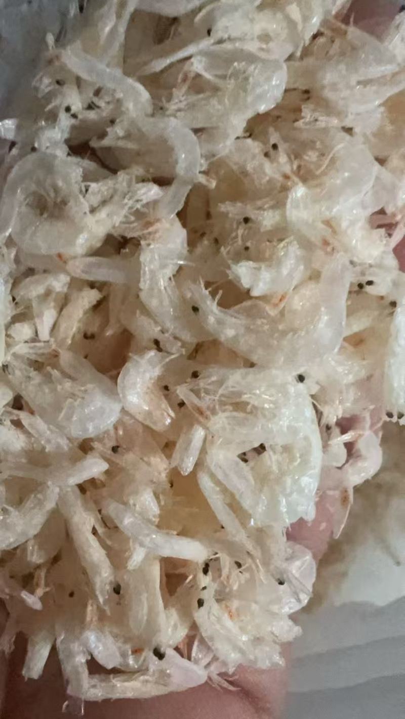 精选淡干虾皮，大虾皮，淡干无盐大量批发