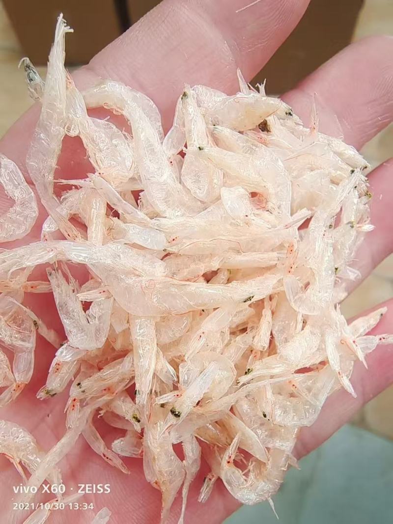 精选淡干虾皮，大虾皮，淡干无盐大量批发
