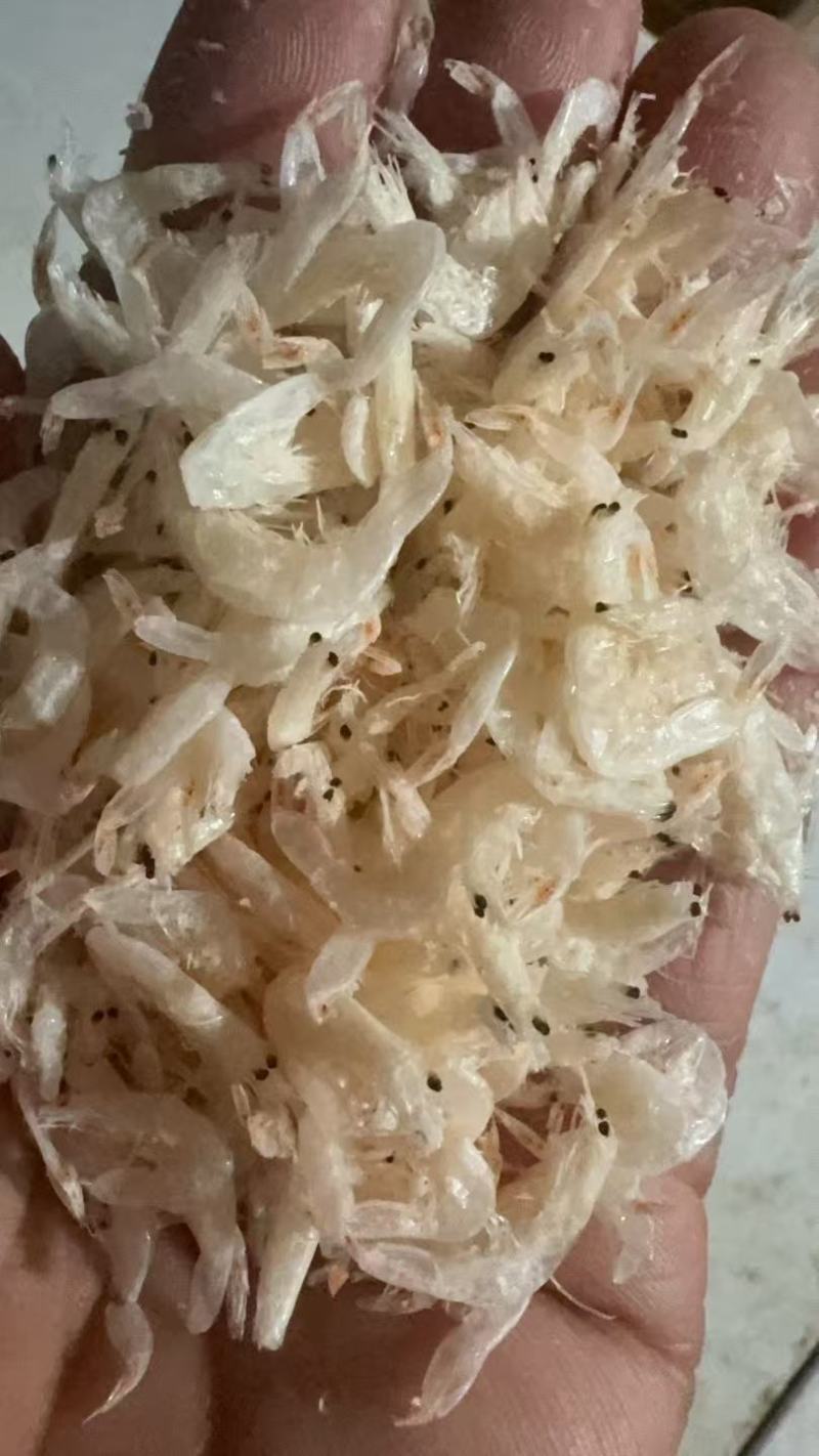 精选淡干虾皮，大虾皮，淡干无盐大量批发