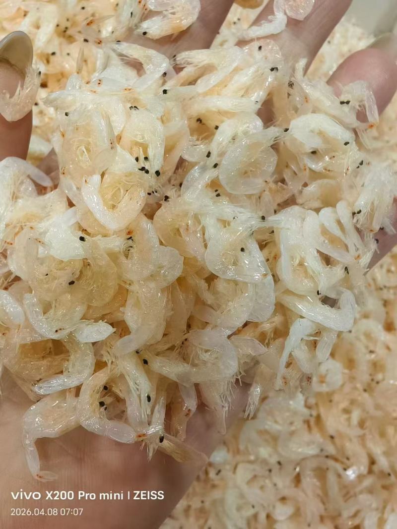 精选淡干虾皮，大虾皮，淡干无盐大量批发