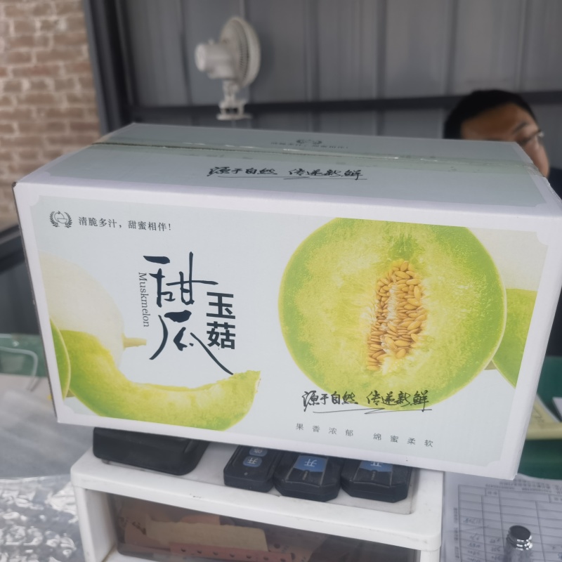 山东莘县玉菇甜瓜，电商一件代发对接社区团购全网接单售后低