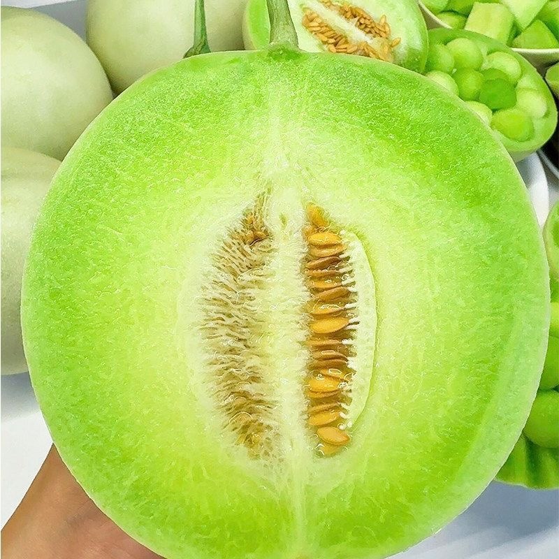 山东玉菇甜瓜，全平台一件代发，对接社区团购，品质好