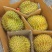 金枕榴莲一手批发价格，a果保5房，坏果包赔。