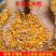 净粮玉米粒水分百分之十二无霉变无坏果颗粒质量保证