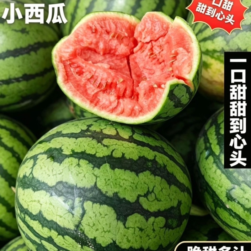西瓜，各大电商平台可发货，多多仓，利润高，售后低，