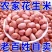花生米无霉变无坏颗粒袋装发货干货