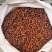 栀子干货新货无硫山栀子泡茶卤料上色中药材食用栀子干净无杂