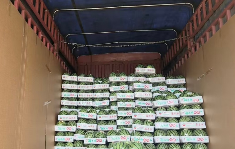 美都麒麟瓜大量有货，价格美丽，保质保量，欢迎来电