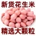 大颗粒花生米质量保证无霉变无坏粒全国发货袋装发货
