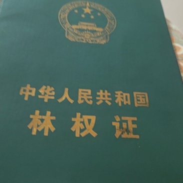 土地转出租200亩左右