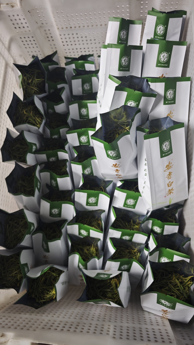 原产地安吉白茶，安吉黄金叶，安吉皇金芽自产自销
