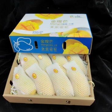 正宗海南金煌芒果
