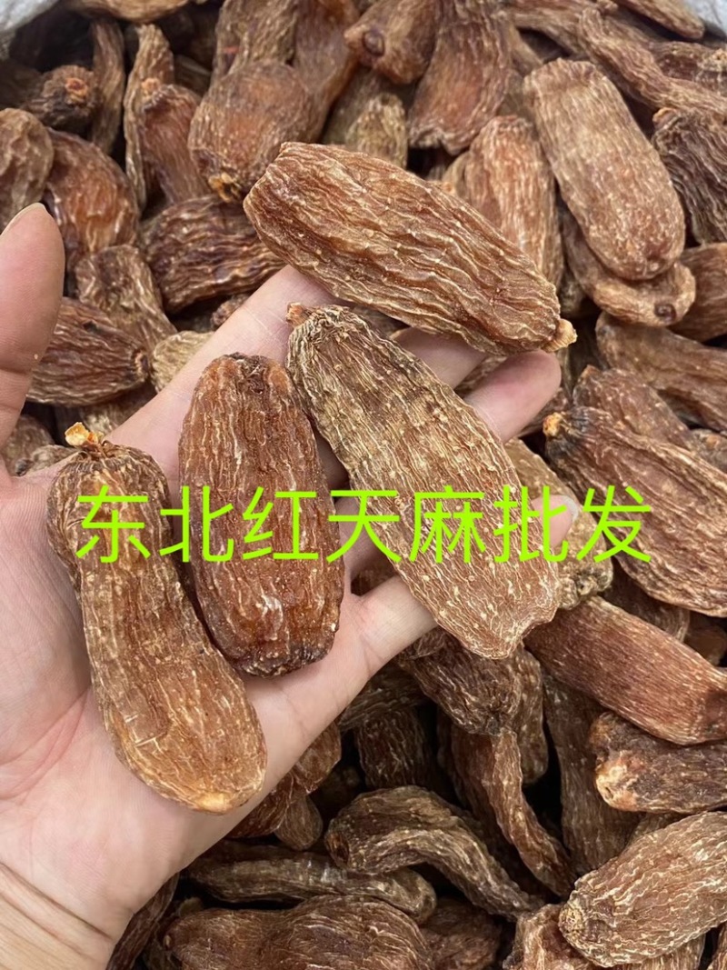 天麻云南血红天麻好货大货批发货好价优