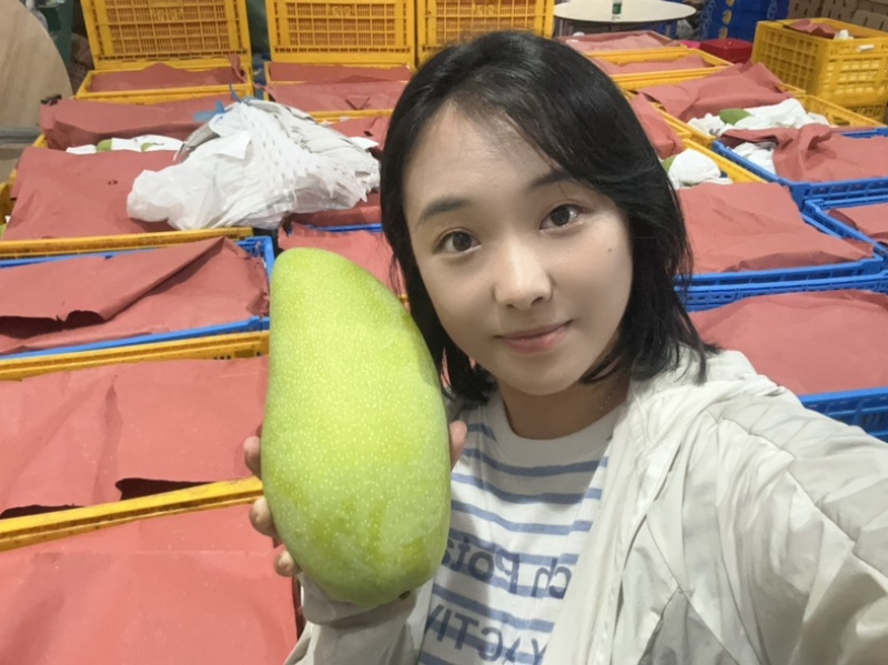 正宗海南金煌芒果