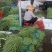 豆角